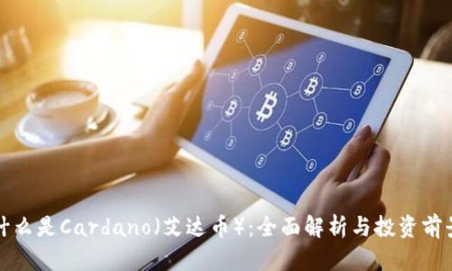 什么是Cardano（艾达币）：全面解析与投资前景
