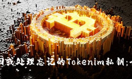 如何找回或处理忘记的Tokenim私钥：全面指南