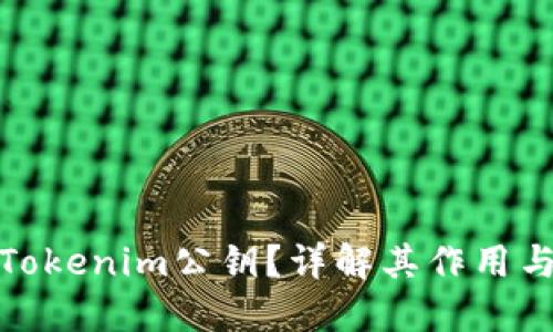 什么是Tokenim公钥？详解其作用与重要性