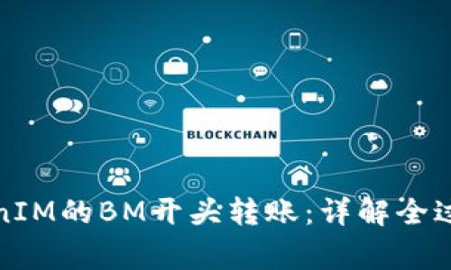 如何进行TokenIM的BM开头转账：详解全过程与注意事项
