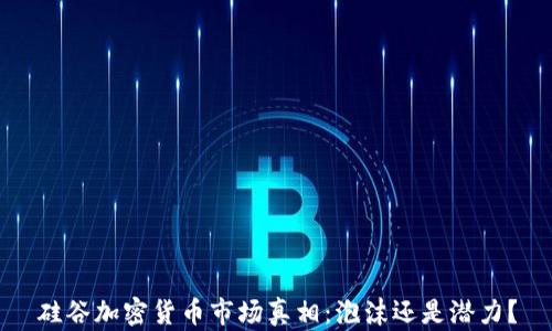 
硅谷加密货币市场真相：泡沫还是潜力？