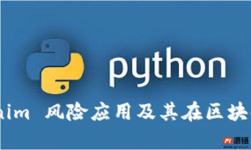 深入分析：Tokenim 风险应用及其在区块链环境中的影响