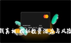 加密货币赚钱真相：揭秘