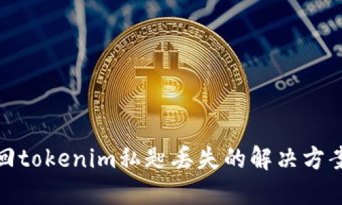 如何安全找回tokenim私匙丢失的解决方案及预防措施