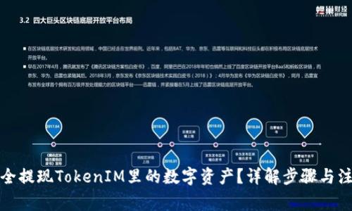 如何安全提现TokenIM里的数字资产？详解步骤与注意事项