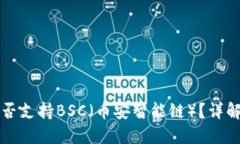 Tokenim钱包是否支持BSC（币安智能链）？详解BSC和